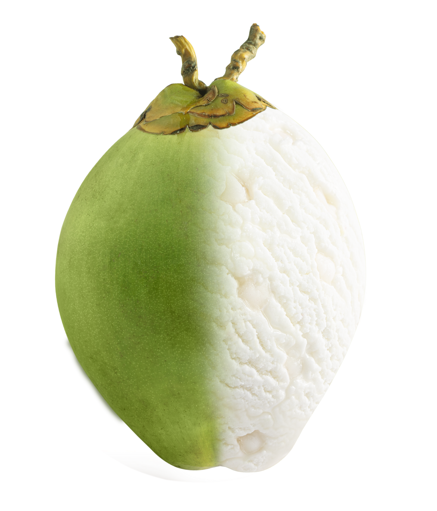 Tender Coconut Ice Cream